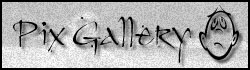ButtonPixGallery.jpg (11435 bytes)